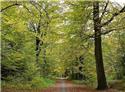 Veranstaltungsbild Querfeldein die Natur erleben